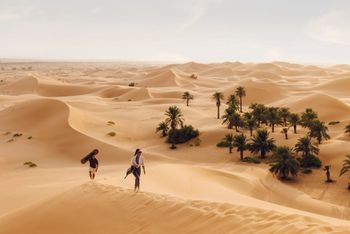 Registration opens for SITE Global Conference 2026 in Abu Dhabi