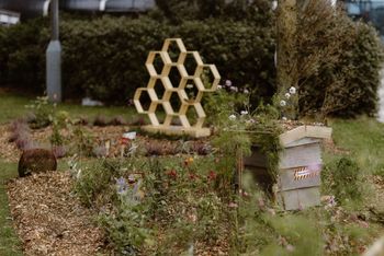 Beehives at the ACC Livrpool campus Jono Symonds Photo Film