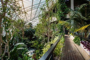 barbican conservatory