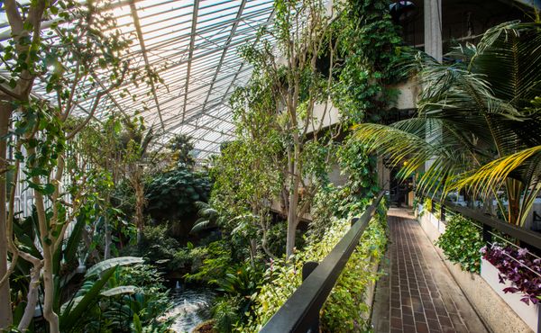 barbican conservatory