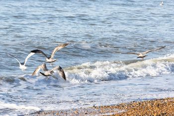 Meeting by the sea – can it enhance the delegate experience?