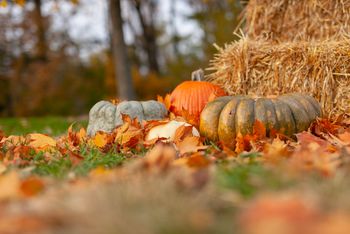 October Venue Update