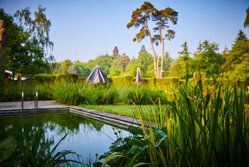 Mineral Pool at Foxhills Club and Resort