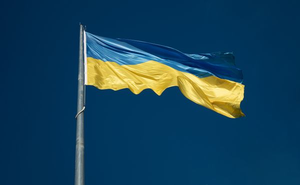 Ukraine Flag