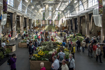Royal Horticultural Halls welcomes new events team