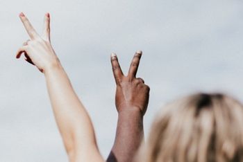 elevate survey