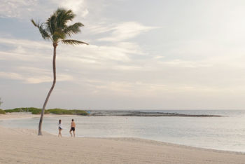 The Cove at Atlantis Unveils a Visionary Transformation