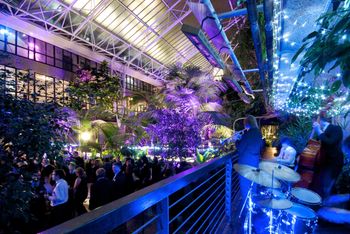 Celebrate Christmas at the Barbican Centre