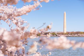 Destination DC Header Image 050724
