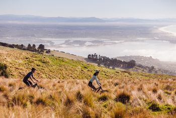Mountain biking in the Port Hills