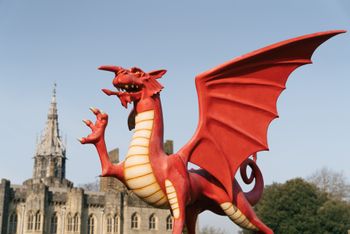 Wales Ambassador Programme