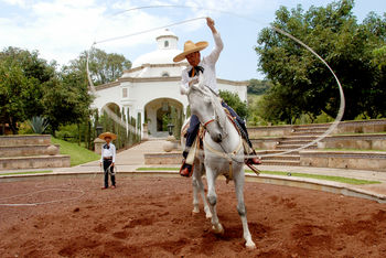 dotm guadalajara