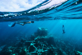 bermuda underwater