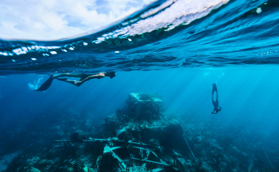 bermuda underwater