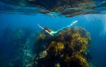 New Zealand, swimmer, diver, mermaiding, fins, tails