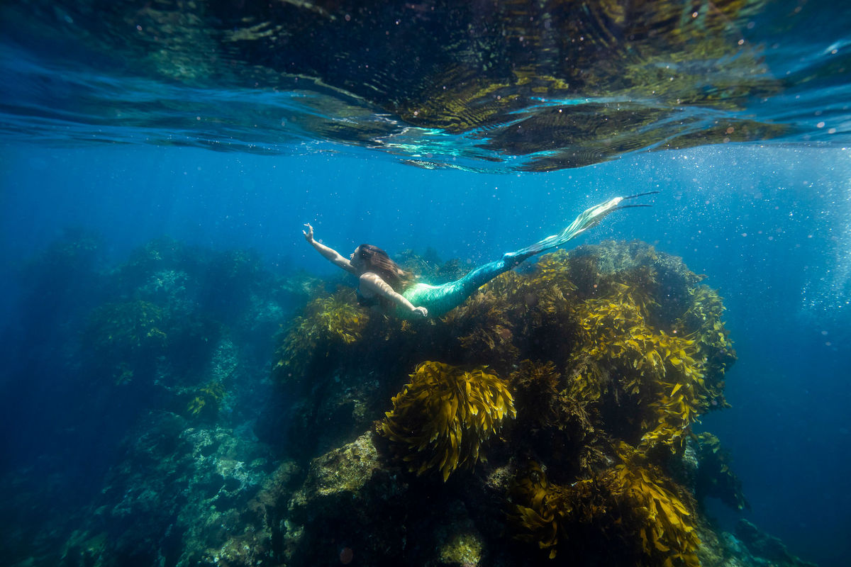 Become a Real-Life Mermaid With New Zealand's Latest Trip Giveaway ...