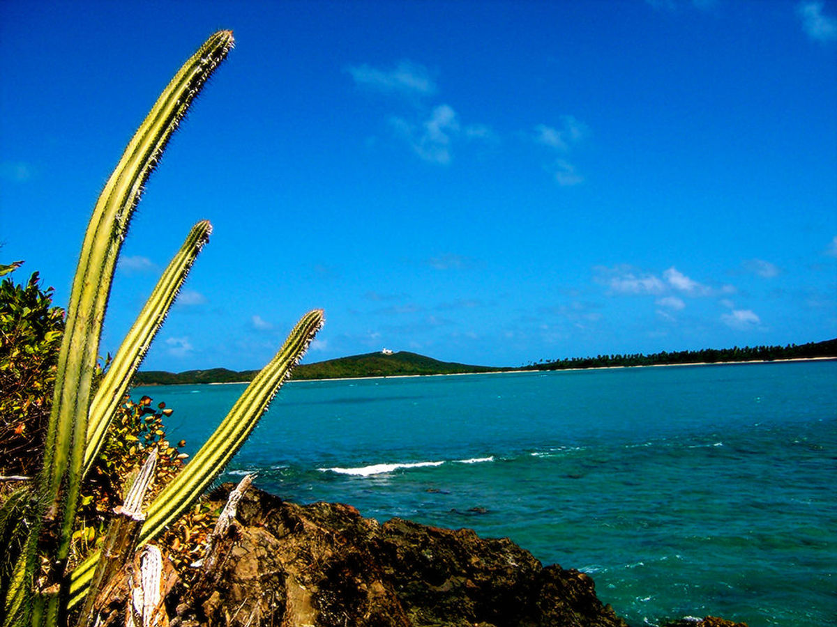 Deepen Your Knowledge of the Caribbean at ETI Puerto Rico | TravelPulse