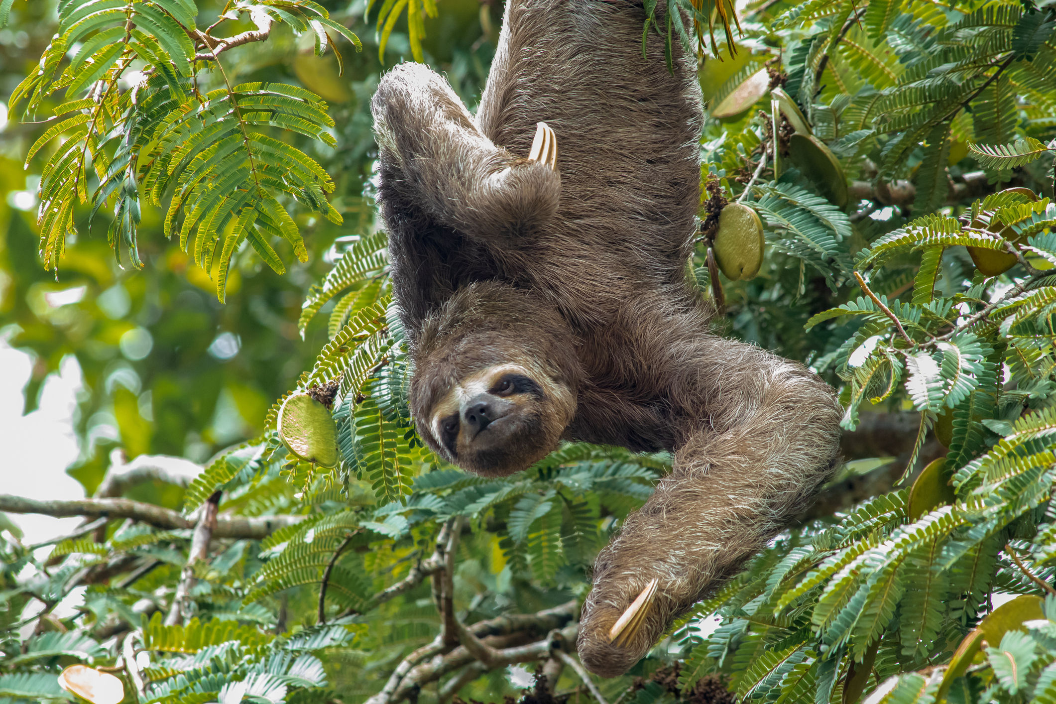 Peru Positioning Itself As An Award Winning Sustainable Destination For   Source 