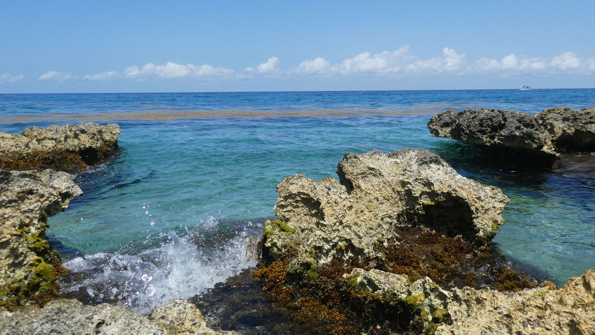 Cruise Industry in Cozumel Thriving to Start 2023 | TravelPulse