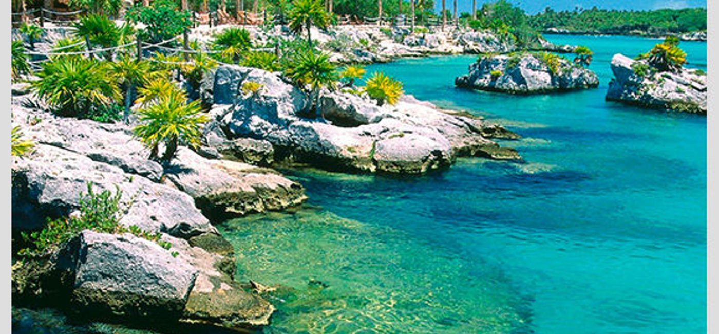 MUST SEE Xcaret's Coral Reef Aquarium TravelPulse