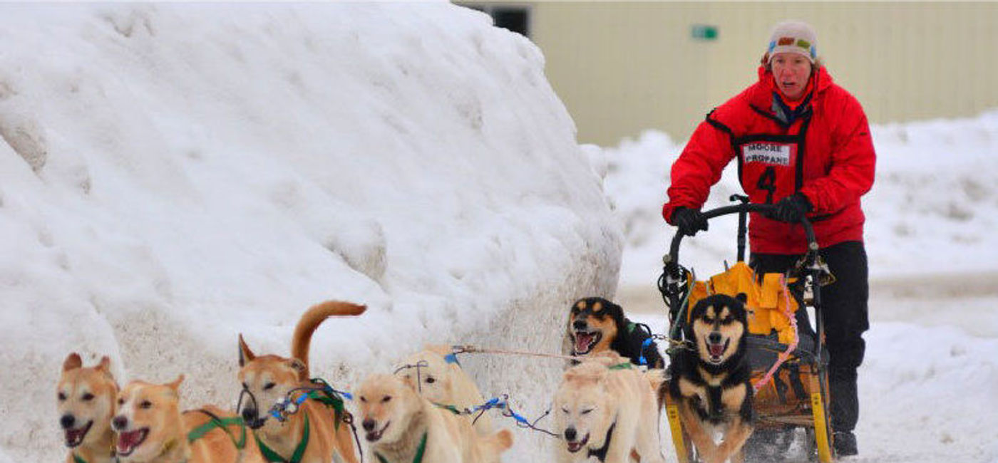 Dog Sledding Takes Over Kearney, Ontario TravelPulse Canada