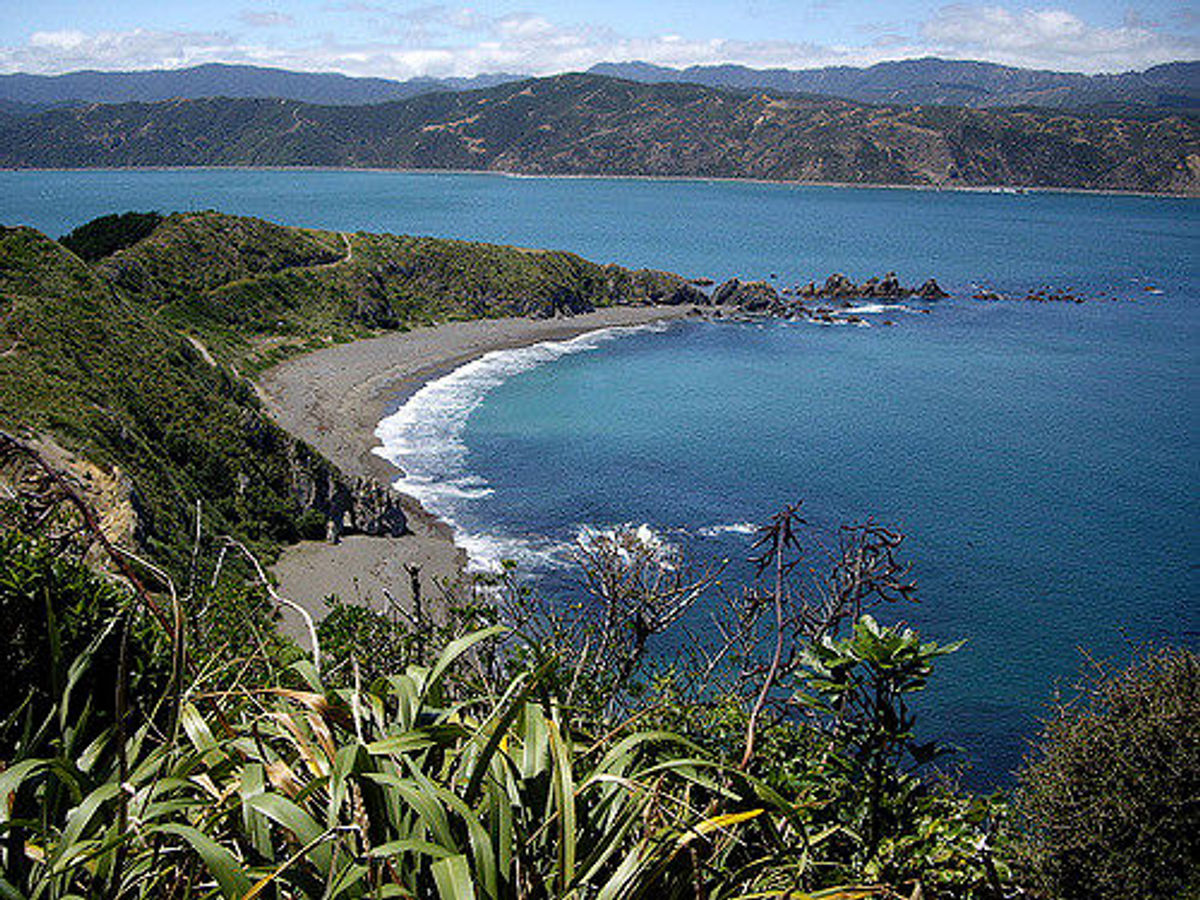 Win A Wellington Job Interview and Free Trip To New Zealand TravelPulse