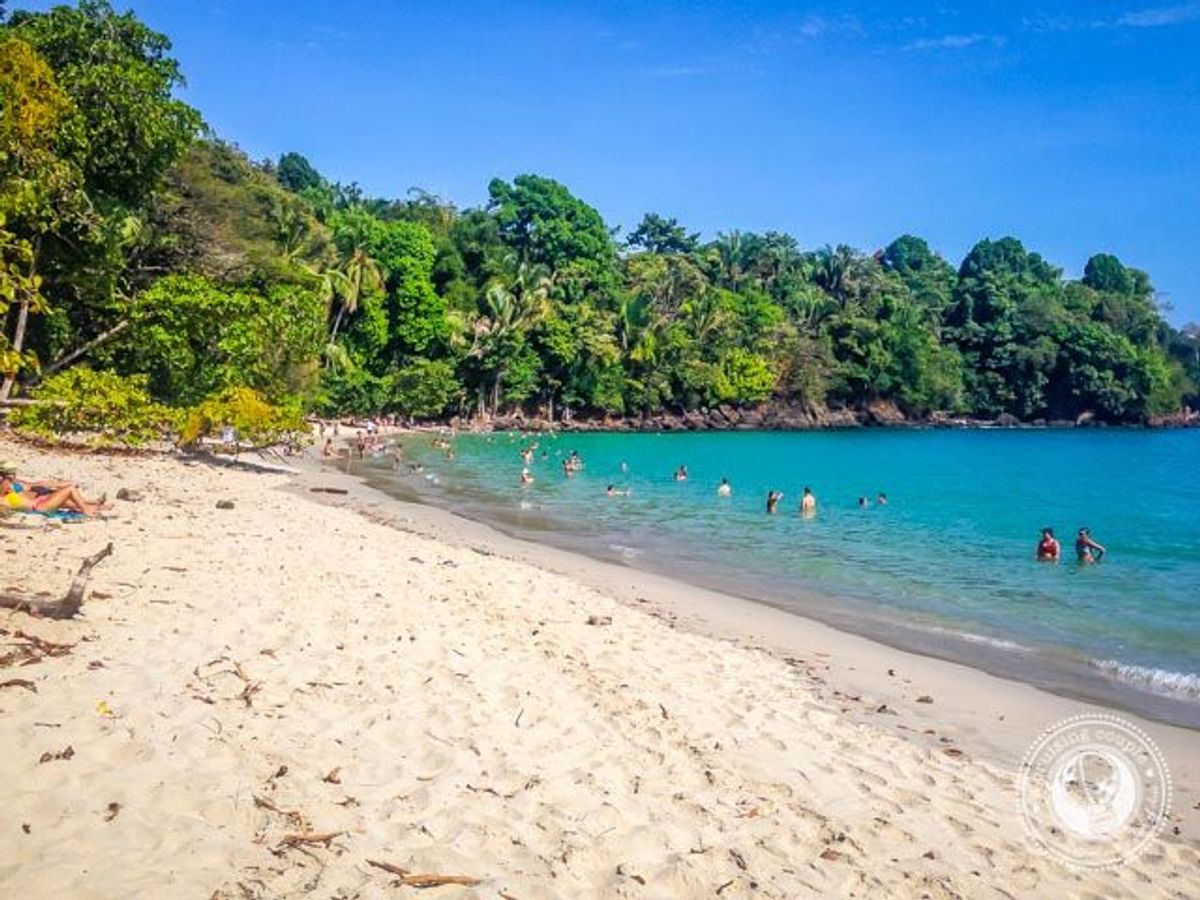 Costa Rica's Manuel Antonio National Park An Insider's Guide TravelPulse