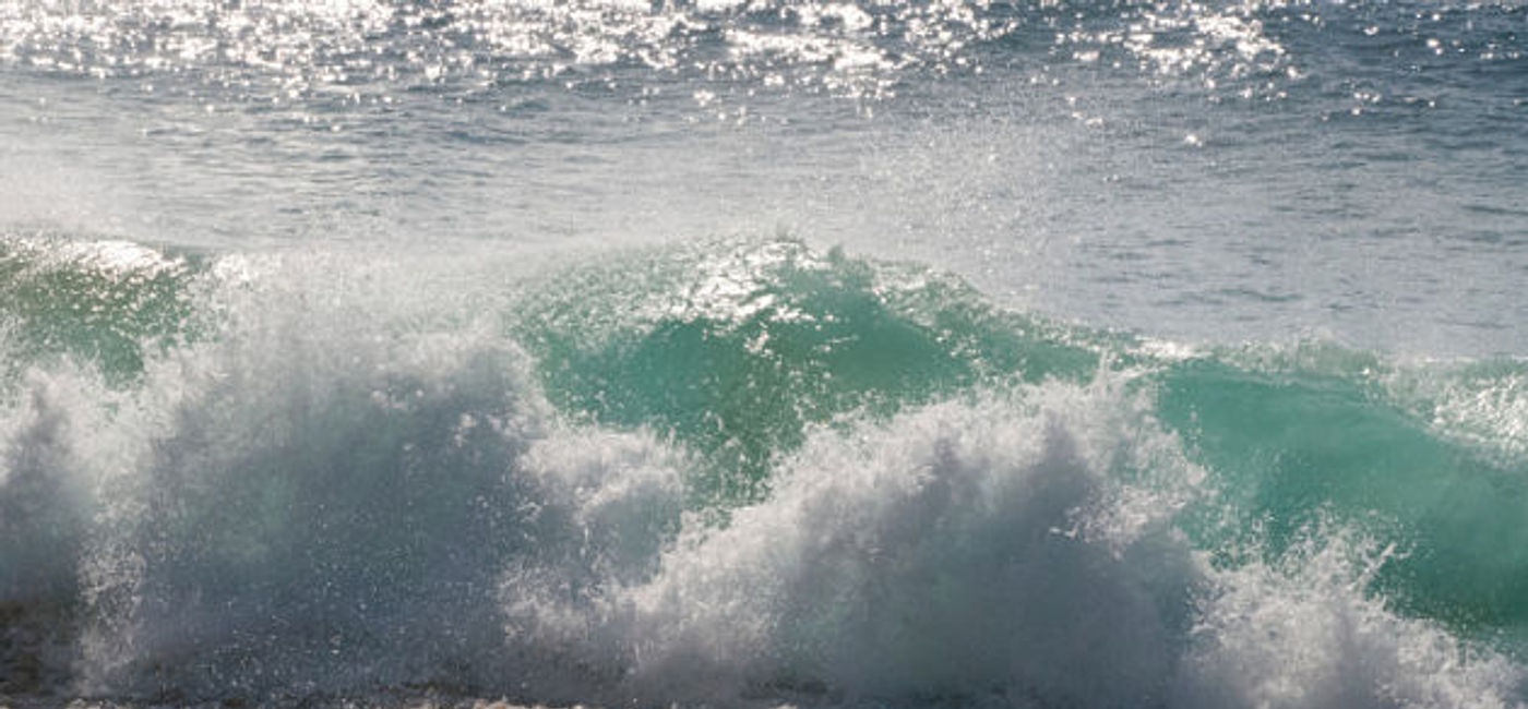 Los Cabos Open of Surf Set to Hit Zippers Beach TravelPulse