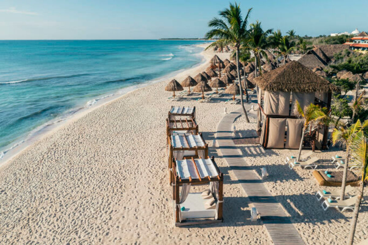 Iberostar Unveils Net Positive Sustainability Roadmap - ittn.ie Iberostar for travel agents