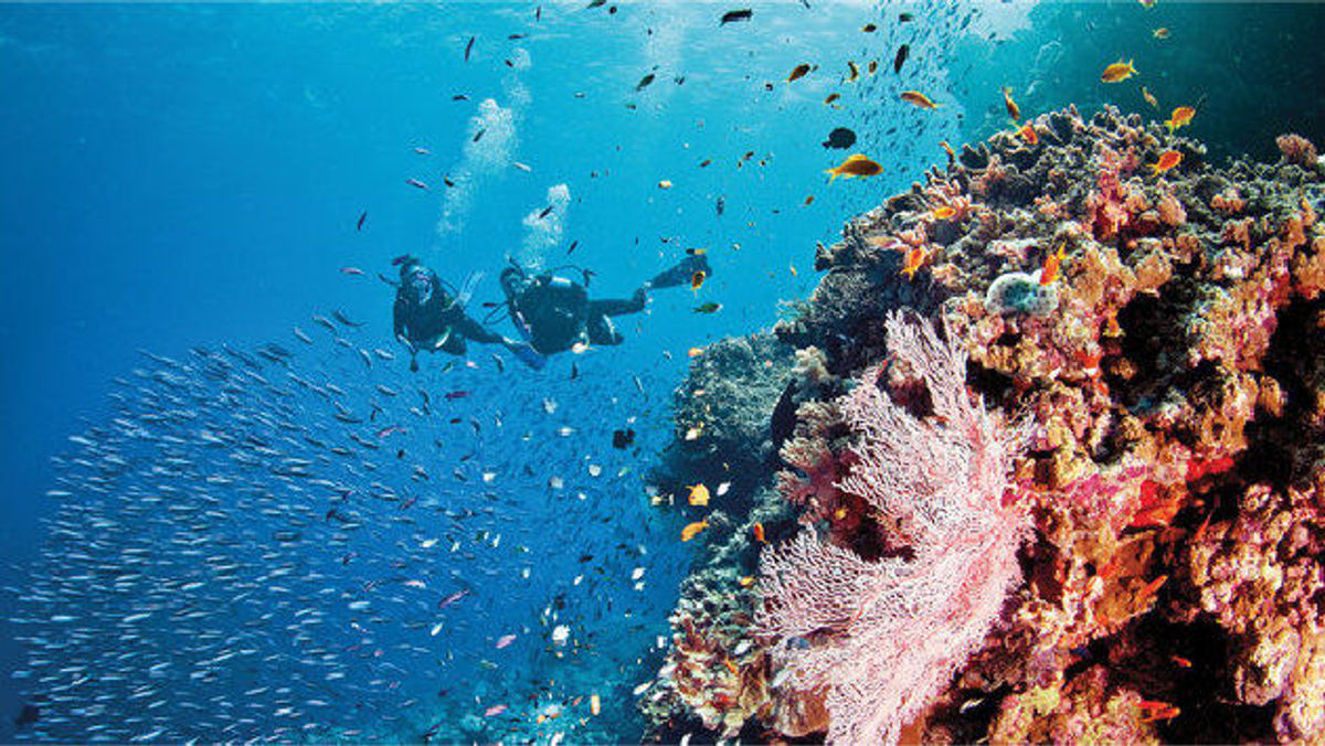 Silversea Expeditions Dives into Scuba Excursions | TravelPulse Canada