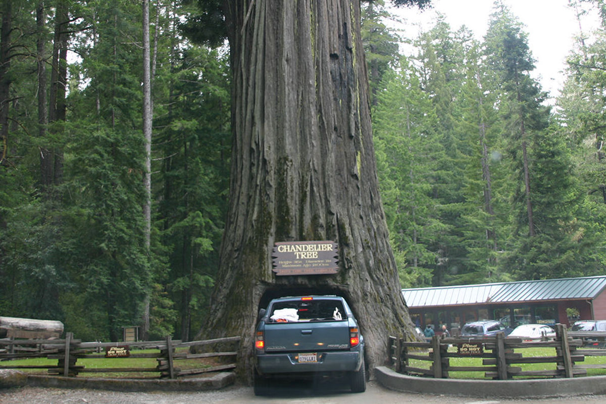 Your California Bucket List 19 Top Destinations