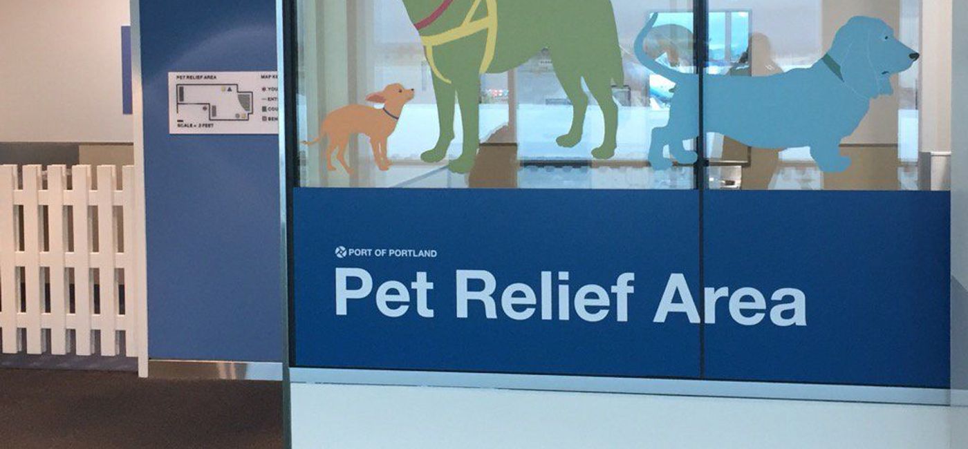 Pet Relief Areas Being Installed at All Major American Airports