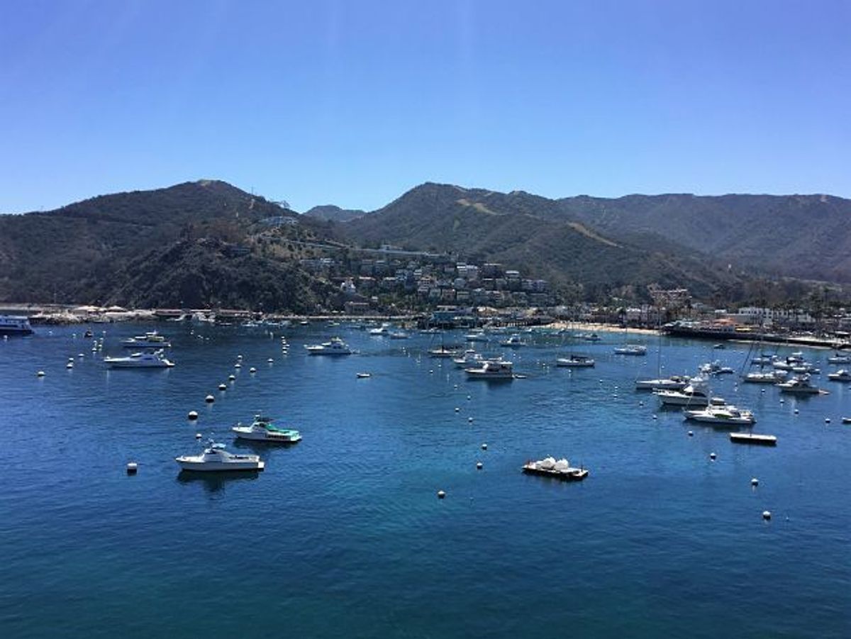 Santa Catalina Island’s Fall Luxury Cruise Calls | TravelPulse