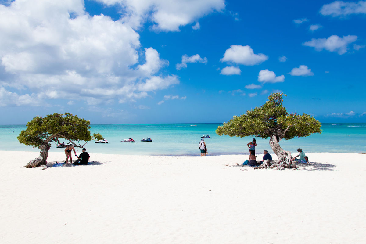 Aruba Travel Restrictions Latest Tourism Advice and Entry Requirements
