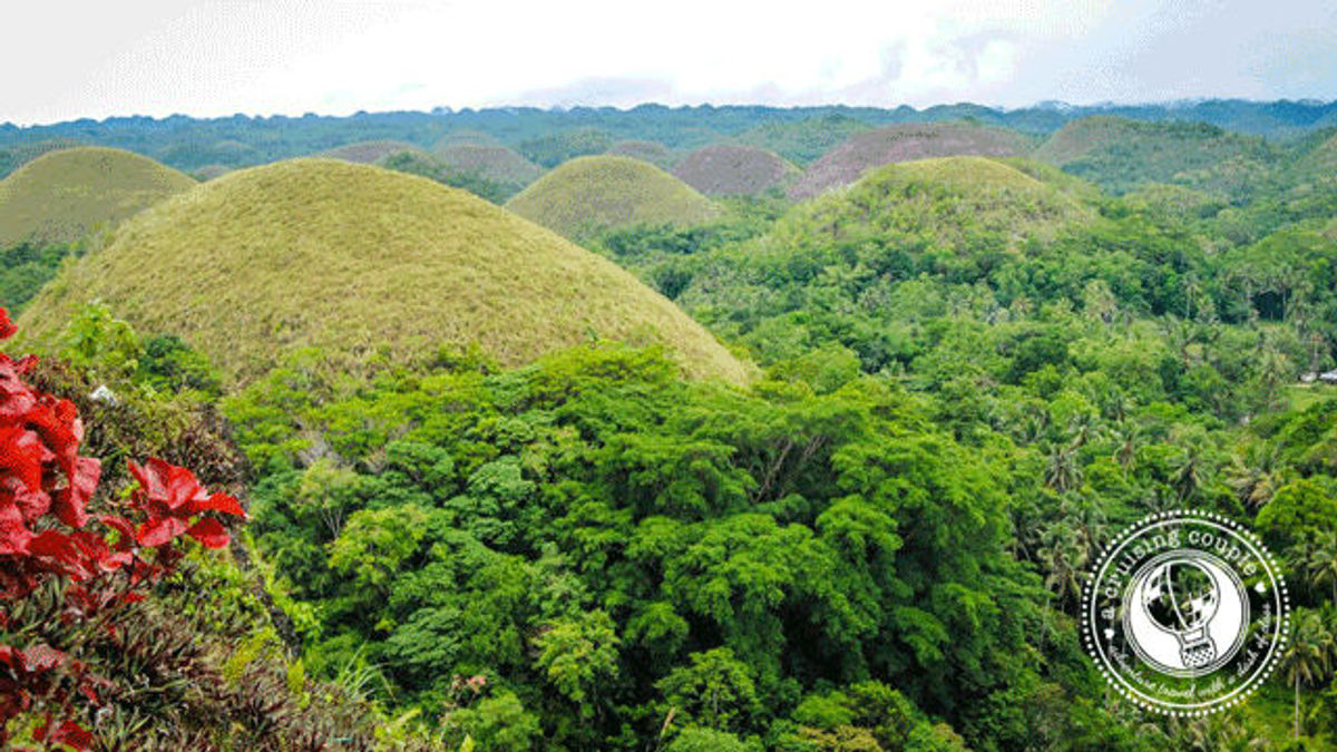 Tarsiers and Chocolate Hills The Best of Bohol, The Philippines