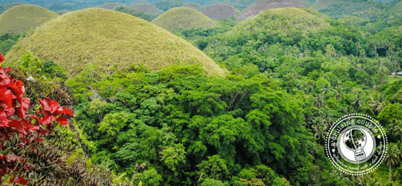 Tarsiers and Chocolate Hills The Best of Bohol, The Philippines