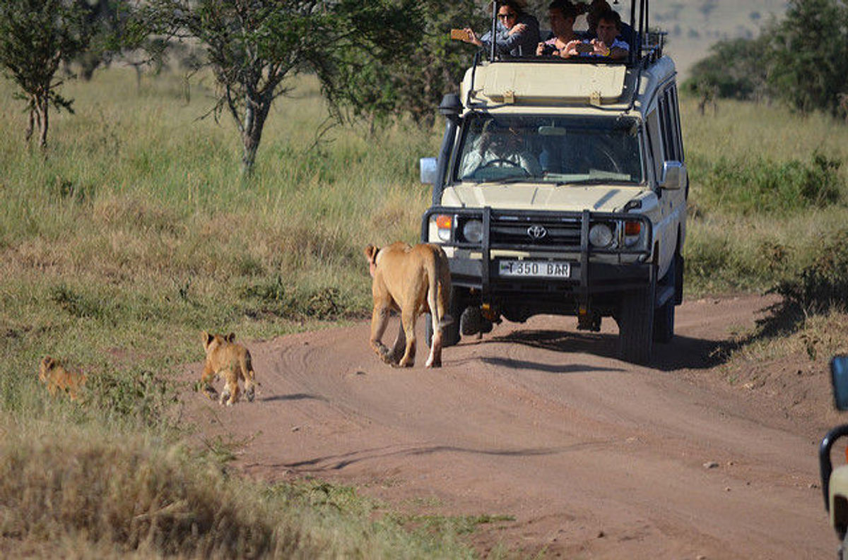 african safari deals