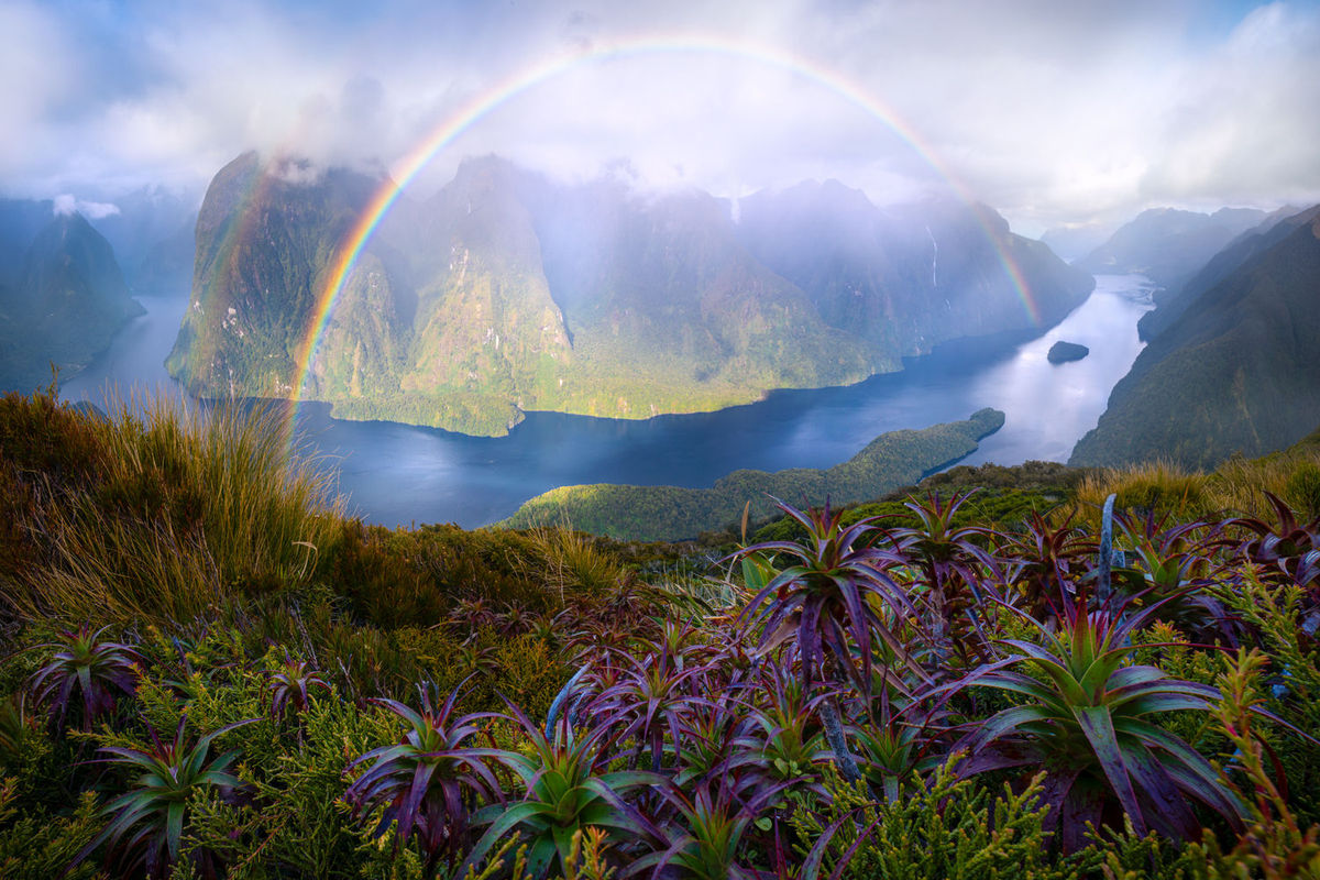 An Update on New Zealand's Travel & Tourism Industry | TravelPulse