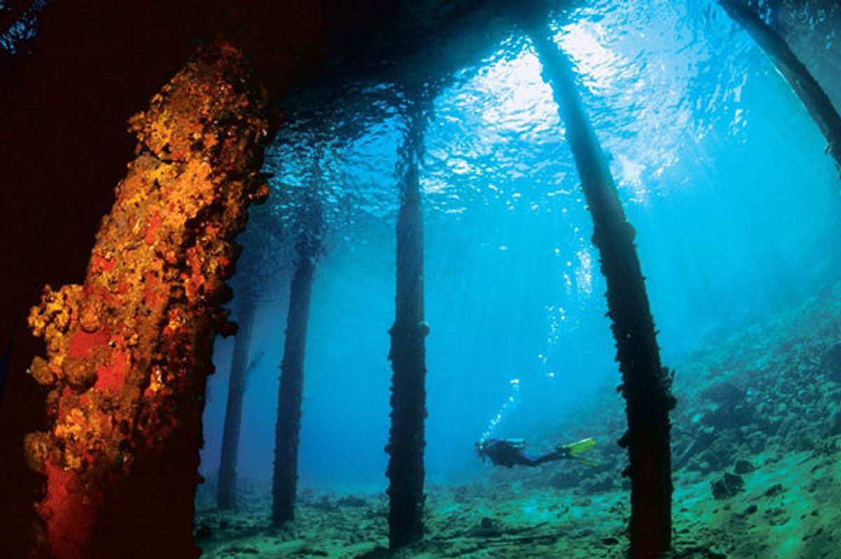 Get Deep: 5 Underwater Attractions | TravelPulse Canada