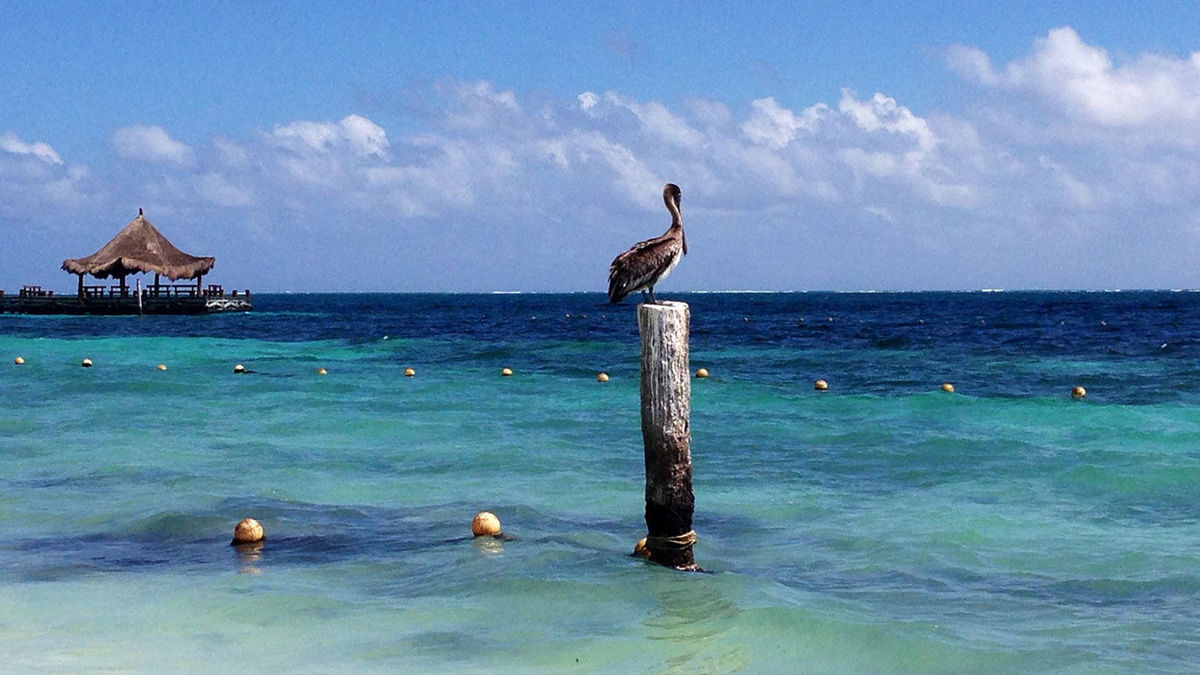 Cancun Proves a Great LGBTQ Destination | TravelPulse