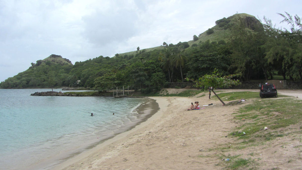 Summer 2015 Caribbean Music Festivals Feature Jazz And Beyond | TravelPulse