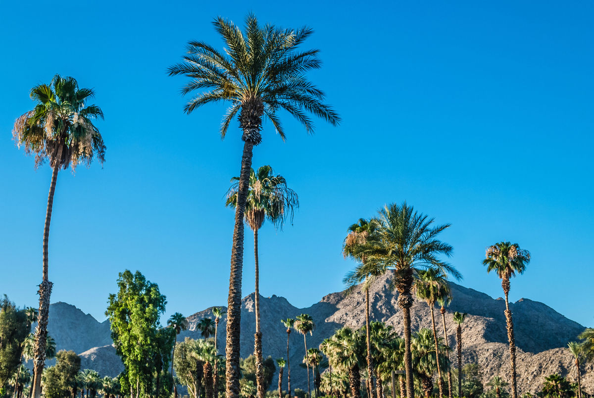 7 Ways Palm Springs May Surprise You TravelPulse