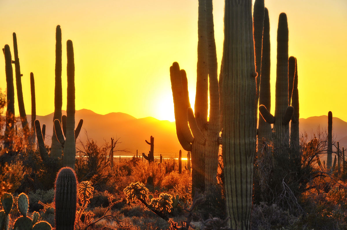 Tucson lanzó una campaña de marketing para atraer viajeros hispanos y de habla hispana