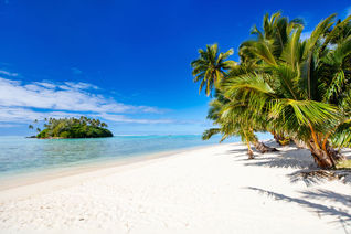 Beautiful tropical beach with palm trees, white sand, turquoise ocean water and blue sky at Cook Islands, South Pacific (Photo via shalamov / iStock / Getty Images Plus)