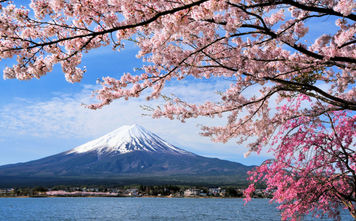 Mount Fuji and Cherry tree, Japan (photo via Goryu / iStock / Getty Images Plus)