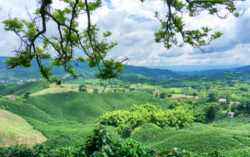 Landscape in Colombia.  (photo via DC_Columbia/ iStock / Getty Images Plus)