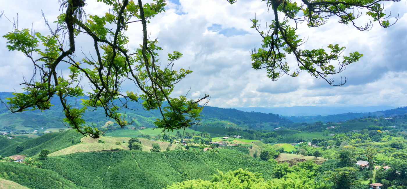 Image: Landscape in Colombia.  (photo via DC_Columbia/ iStock / Getty Images Plus)