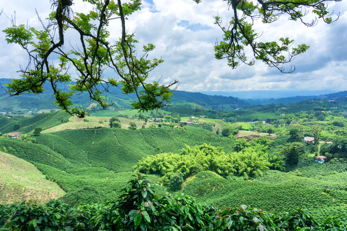 Landscape in Colombia Landscape in Colombia. (photo via DC_Columbia/ iStock / Getty Images Plus)