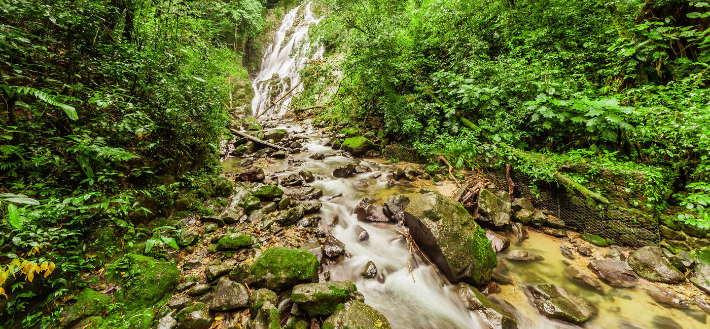 Image: PHOTO: Chorro el Macho, a waterfall in El Valle de Anton, Panama. (Jan-Schneckenhaus / iStock / Getty Images Plus)