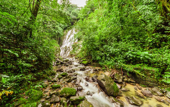 Chorro el Macho, a waterfall in El Valle de Anton, Panama (Jan-Schneckenhaus / iStock / Getty Images Plus)